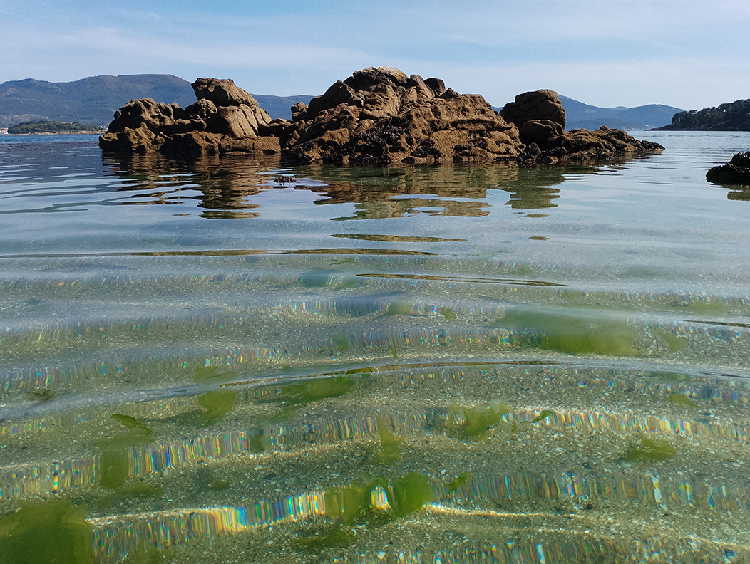 "Refracción", fotografía tomada na praia do Esteiro, Boiro, o 13-5-22. É un plano picado tomado dende o propio mar, cun horizonte alto no que destacan unhas rochas con mexillóns a pouca distancia, e mais o seu reflexo na auga por debaixo. A refracción fai un efecto moi interesante sobre os grans de area do fondo mariño e sobre o reflexo das rochas.