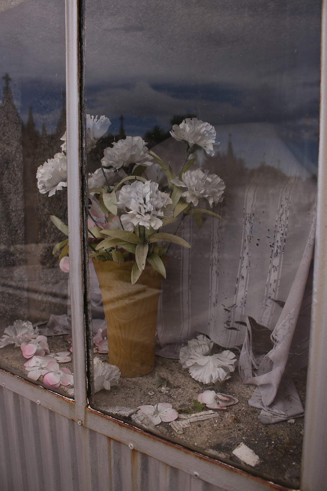 "Pantasmas", fotografía tomada no cemiterio de Cancelo, Portugal, o 2-9-23. Mostra a fiestra dun sepulcro e no seu inteiror podemos ver a tea pálida que cobre un cadaleito ao fondo e mais unhas flores brancas na fronte. Hai moitos pétalos, pó e cascallos no chan. A xanela reflicte a silueta do cemiterio e a atmosfera é pálida e pouco saturada.
