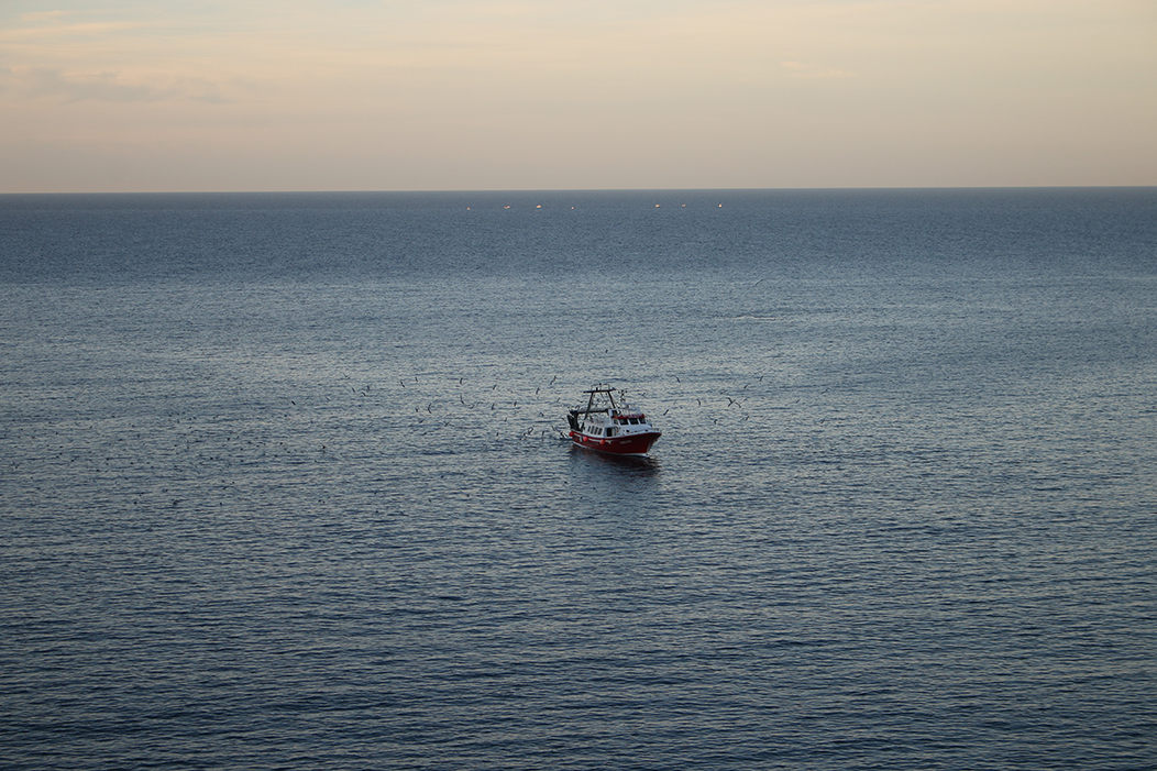 "Soidade", fotografía tomada no porto de Sóller, Mallorca, o 11-12-23. Mostra un barco de pesca solitario seguido por un grupo de gaivotas, nun plano cenital, pequeno sobre a inmensidade do océano.